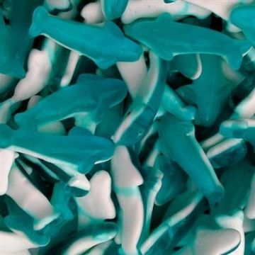 Online je Astra Dolfijnen bestellen?