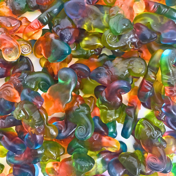 Grappige kameleon snoepjes bestellen!