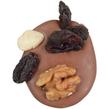 Studentenhaver met chocolade online kopen!